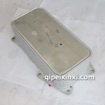 1013020-A12机油散热器芯